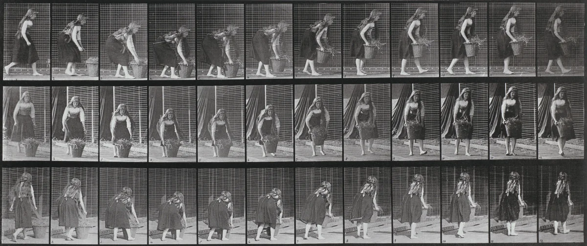 Plate Number 217. Stooping, lifting and carrying a 30-lb. basket by Eadweard Muybridge, photograph, 1887