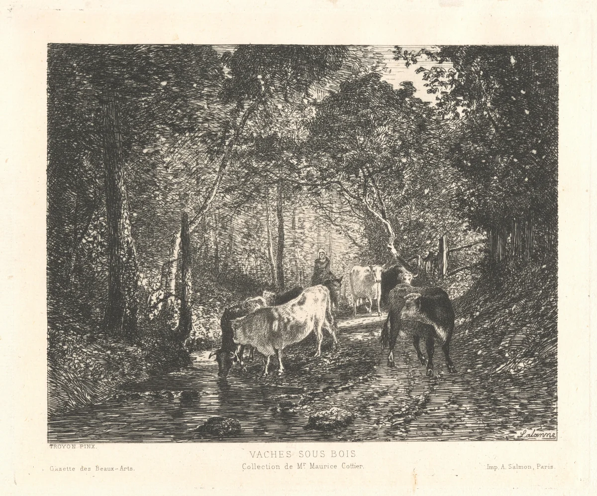 Vaches sous Bois (Cattle in the Forest) by Maxime Lalanne, print, 1872