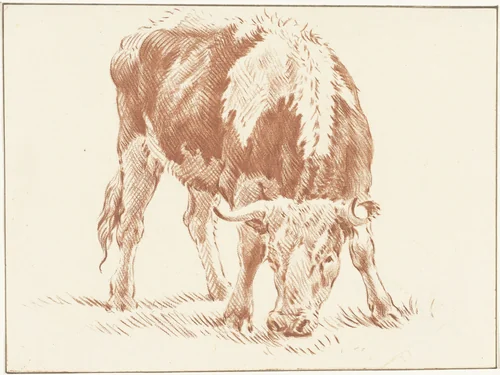 Grazende os by Jurriaan Cootwijck, print, 1724-1798