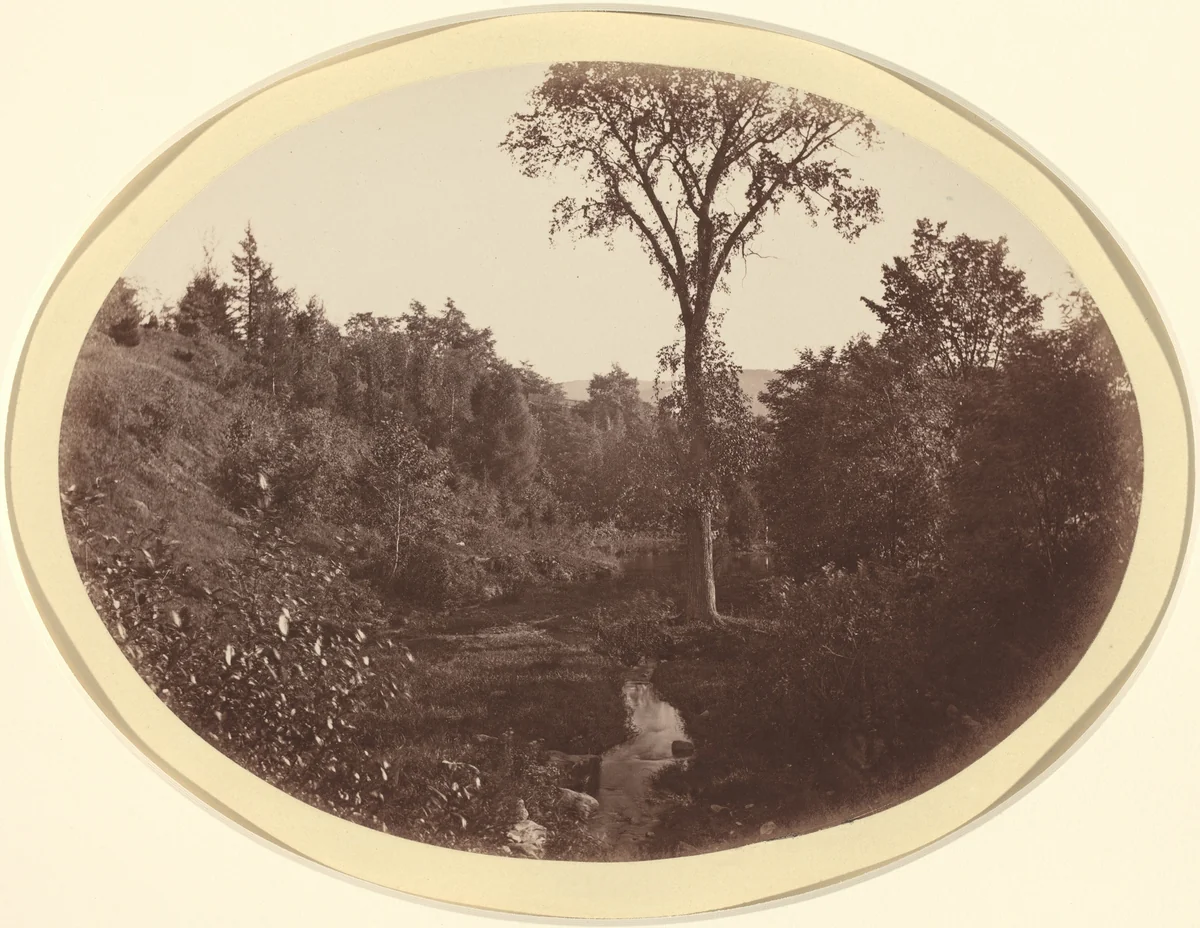 Landscape near Williams College by George K. Warren, photograph, 1824-1884