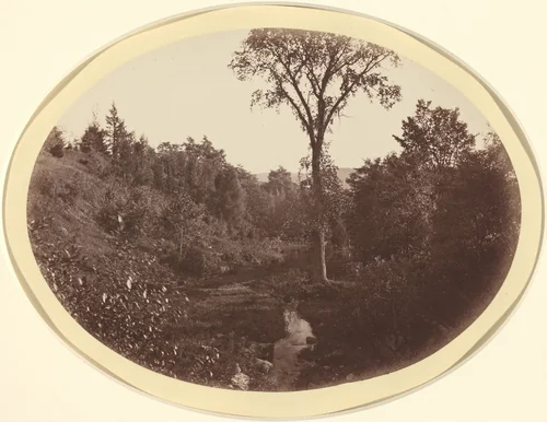 Landscape near Williams College by George K. Warren, photograph, 1824-1884