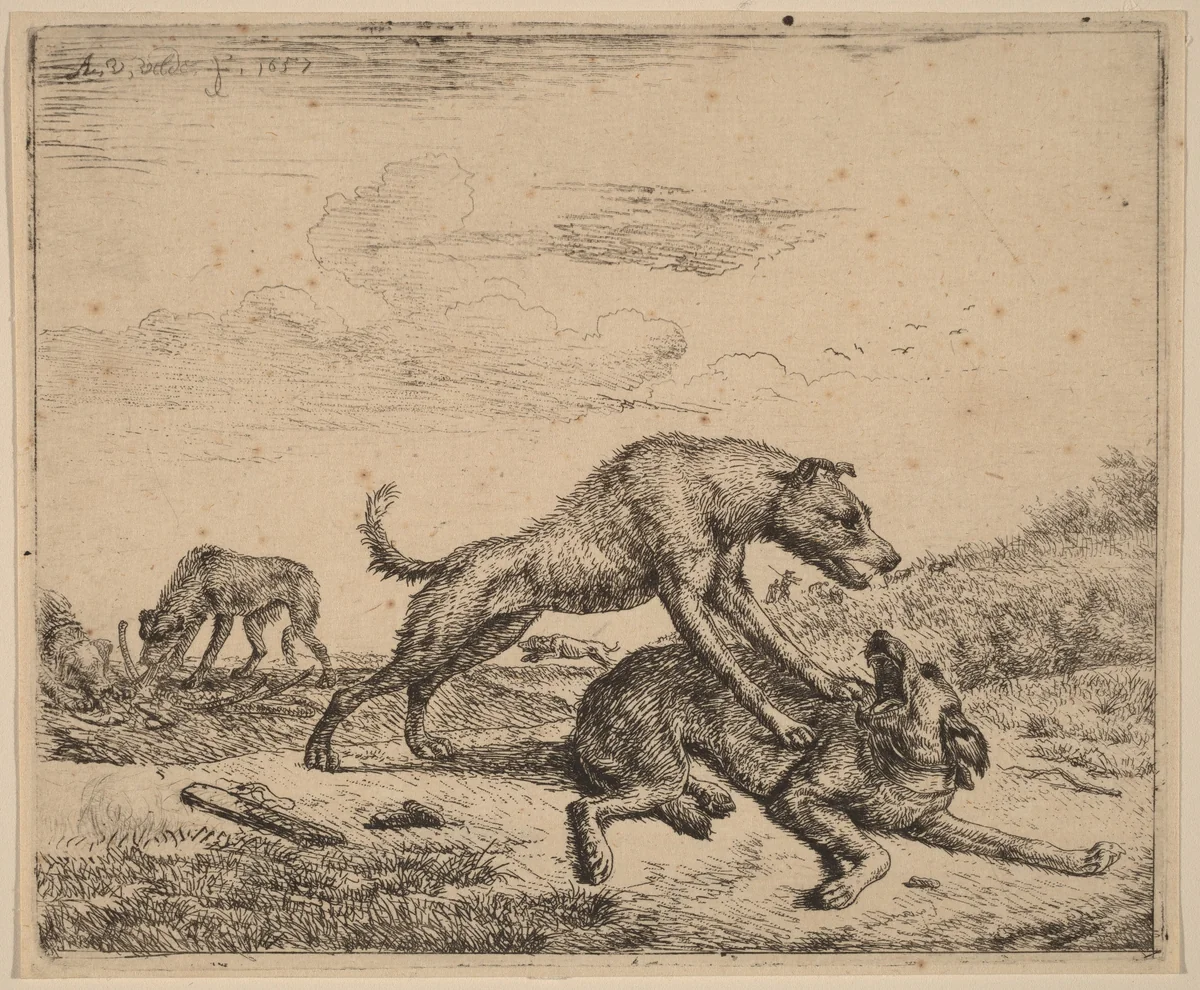 Fighting Dogs by Adriaen van de Velde, print, 1657-1659