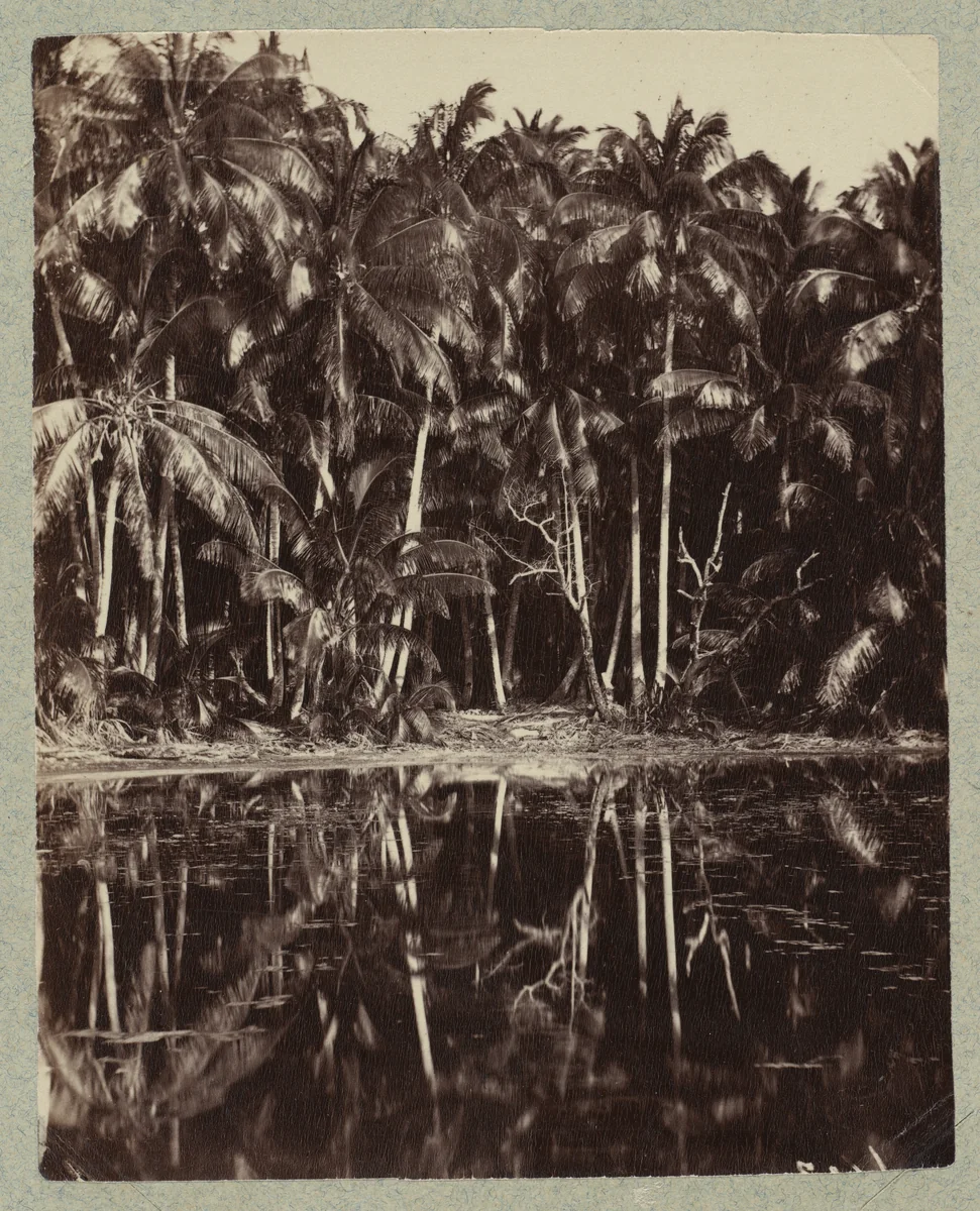 Tetiaroa - Un lagon des Paumotu by Charles Spitz, photograph, 1880-1899