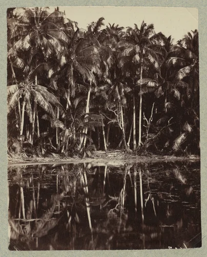 Tetiaroa - Un lagon des Paumotu by Charles Spitz, photograph, 1880-1899
