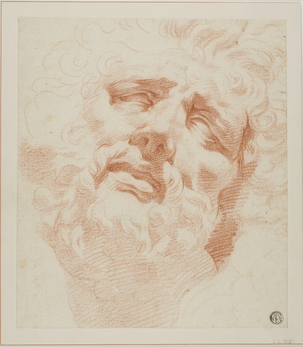 Study for Head of Laocoon by Andrea Appiani
Ottaviano Dandini, drawing, 1774-1825