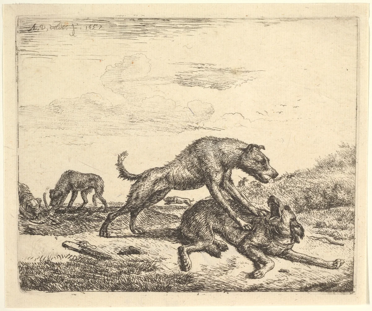 Fighting Dogs, plate 9 from "Different Animals" by Adriaen van de Velde, print, 1657