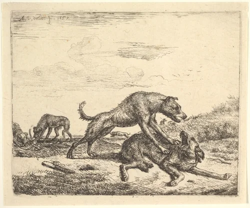 Fighting Dogs, plate 9 from "Different Animals" by Adriaen van de Velde, print, 1657