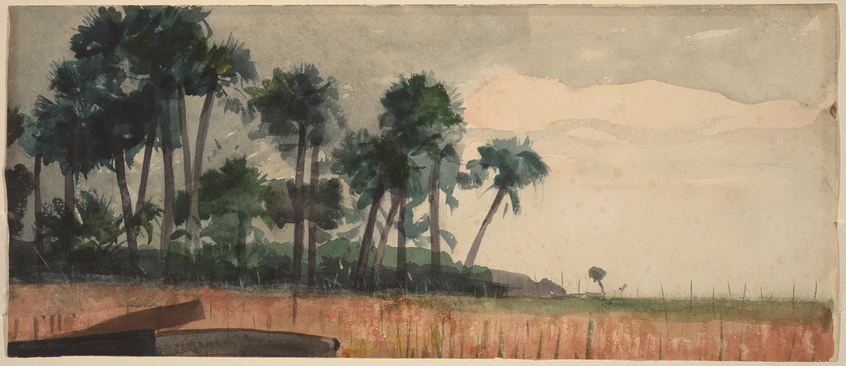 Palm Trees, Red by Winslow Homer, drawing, 1890
