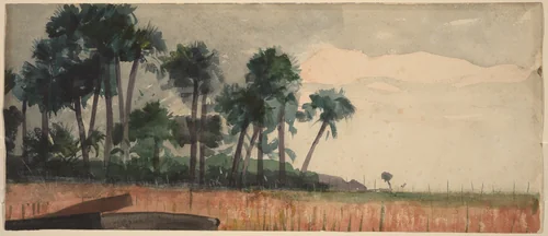Palm Trees, Red by Winslow Homer, drawing, 1890