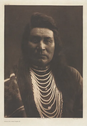Portfolio VIII, Plate 258: Typical Nez Percé by Edward Curtis, other, 1899