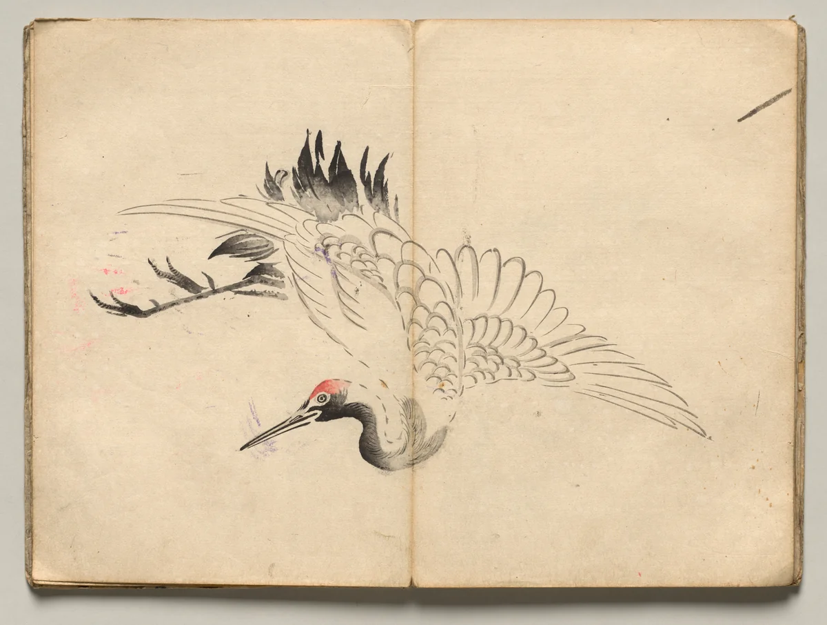 Crane from Ōkyo Picture Book by Maruyama Ōkyo (円山応挙), book, 1850