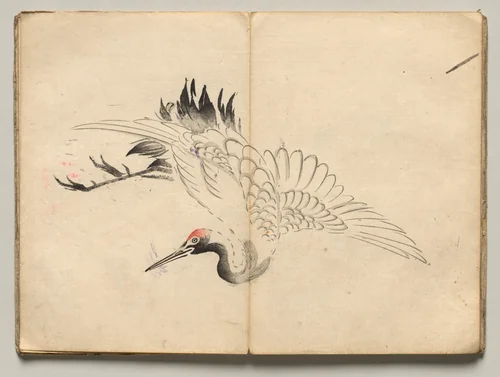 Crane from Ōkyo Picture Book by Maruyama Ōkyo (円山応挙), book, 1850