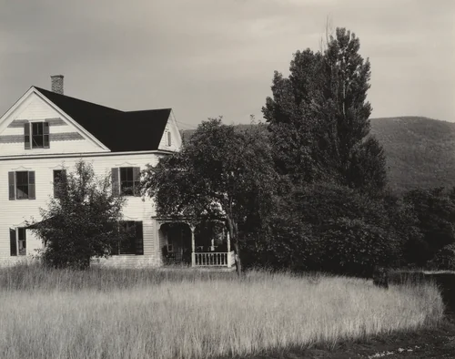 House and Trees, Lake George by Alfred Stieglitz, photograph, 1932
