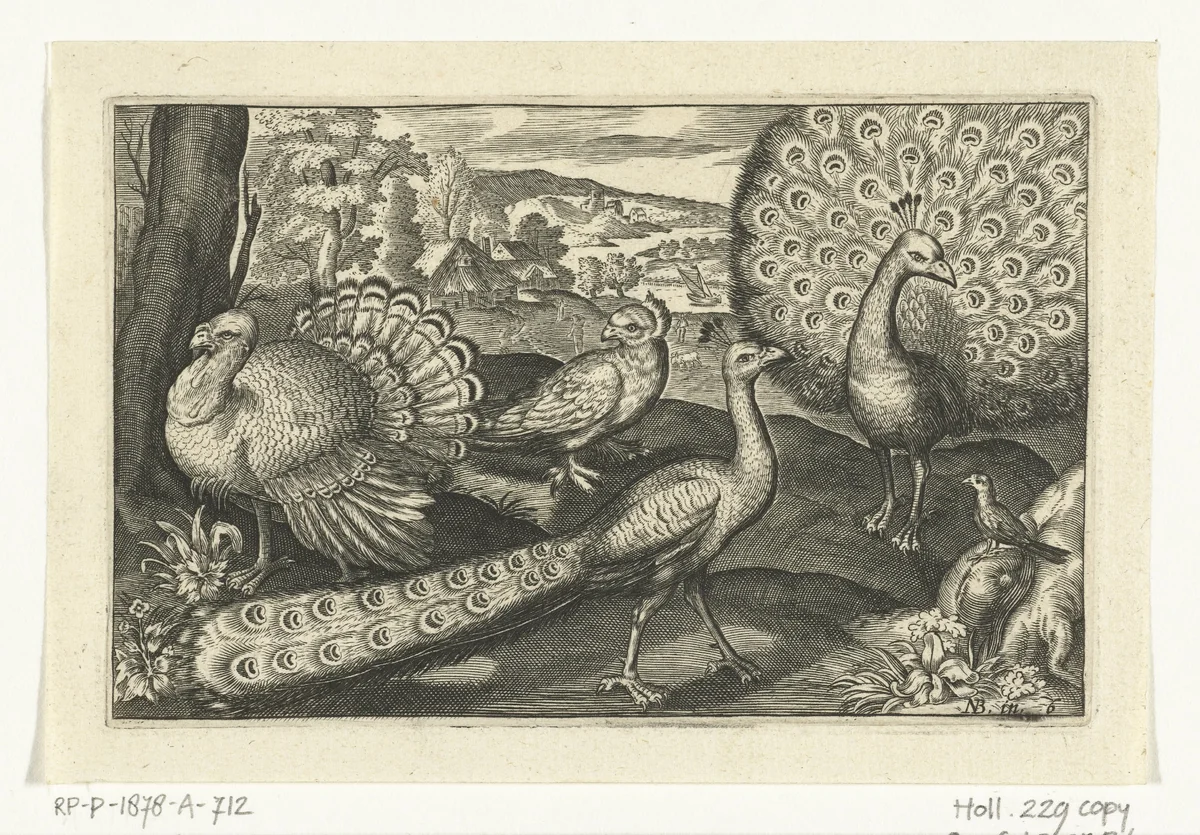 Vijf vogels waaronder lepelaar by anonymous, print, 1594-1644