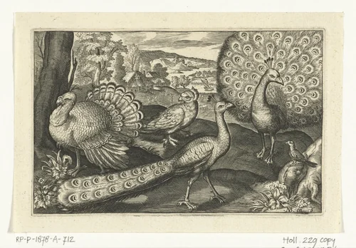 Vijf vogels waaronder lepelaar by anonymous, print, 1594-1644