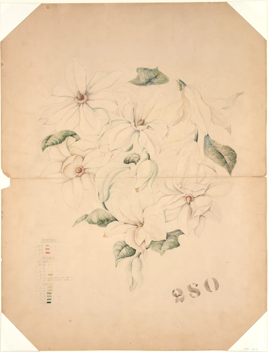 Design Drawing for Magnolia Vase by Tiffany & Co., artwork, 1890-1896