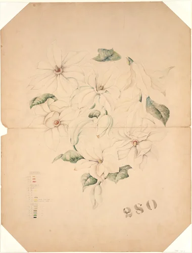 Design Drawing for Magnolia Vase by Tiffany & Co., artwork, 1890-1896