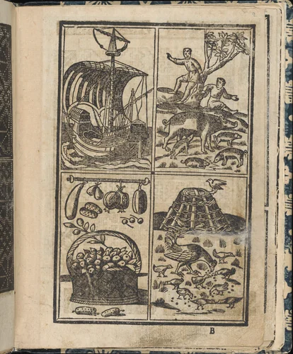 Essempio di recammi, page 9 (recto) by Giovanni Antonio Tagliente, book, 1530