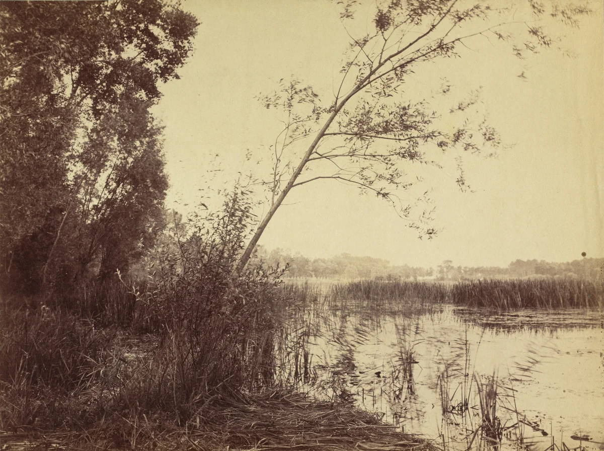 Marais de Fampoux by Eugène Cuvelier, photograph, 1860-1865