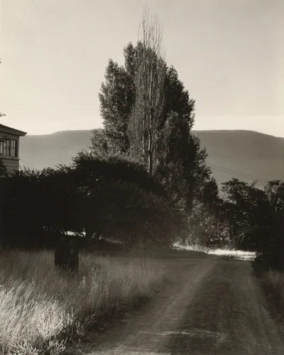 House and Poplars, Lake George by Alfred Stieglitz, photograph, 1933