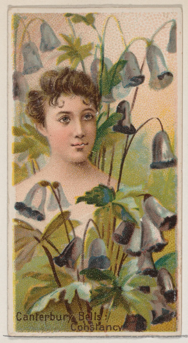 Canterbury Bells: Constancy, from the series Floral Beauties and Language of Flowers (N75) for Duke brand cigarettes by American Tobacco Company, print, 1892