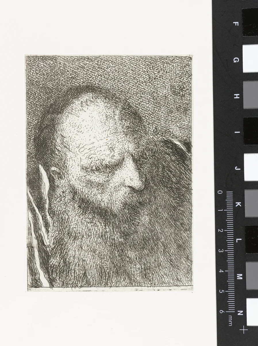 Man met baard en borstelige wenkbrauwen by Giovanni Domenico Tiepolo, print, 1771-1774