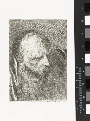 Man met baard en borstelige wenkbrauwen by Giovanni Domenico Tiepolo, print, 1771-1774