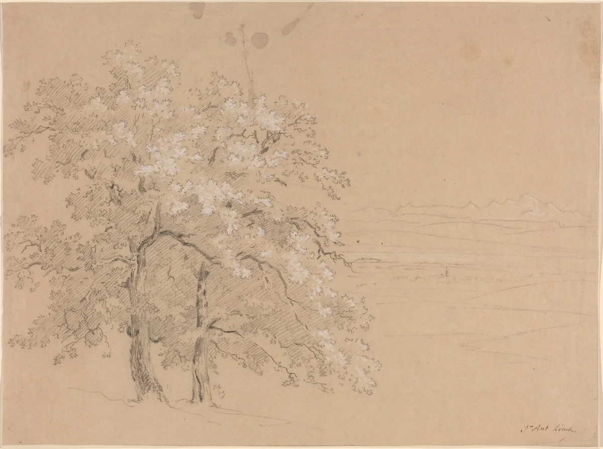 Sunlit Trees Before a Panoramic Landscape by Jean Antoine Linck, drawing, 1766-1843