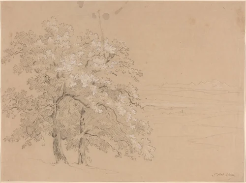 Sunlit Trees Before a Panoramic Landscape by Jean Antoine Linck, drawing, 1766-1843