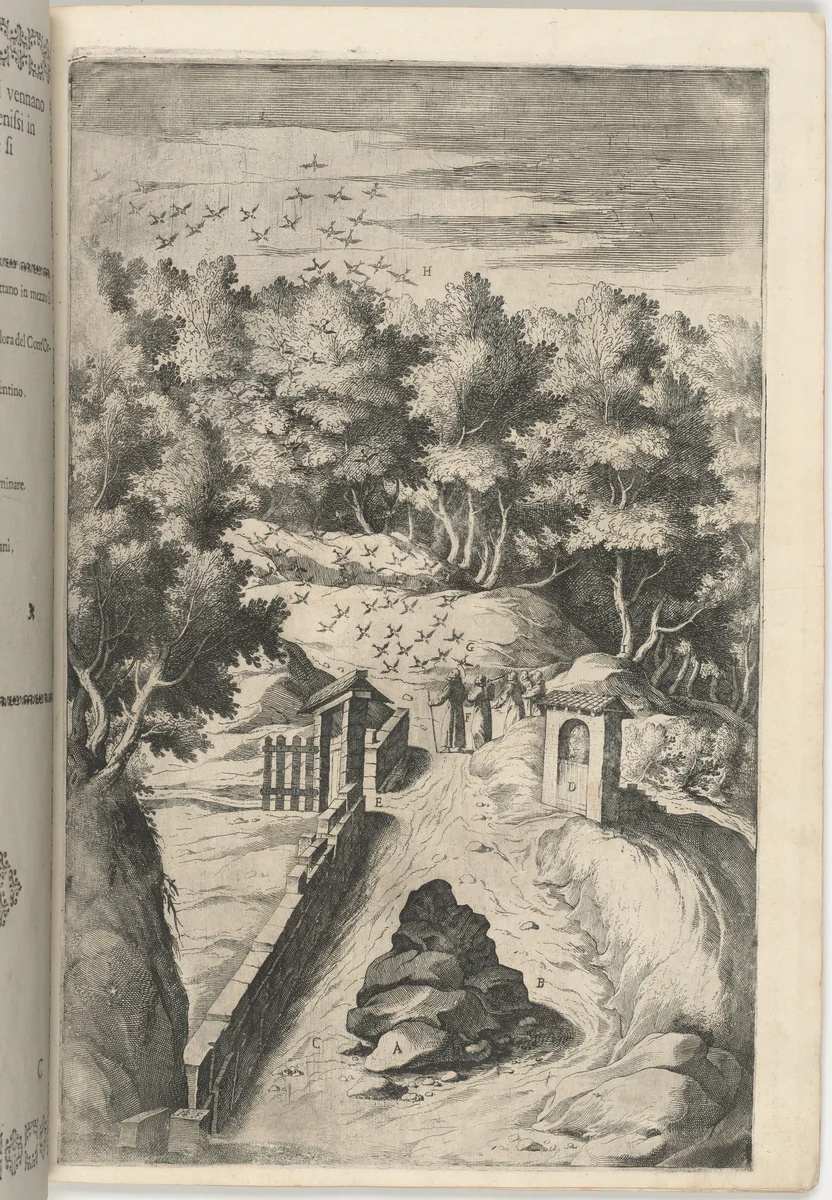 The Salutation of the Birds (Il Saluto degli uccelli) [plate C] by Jacopo Ligozzi, print, 1612