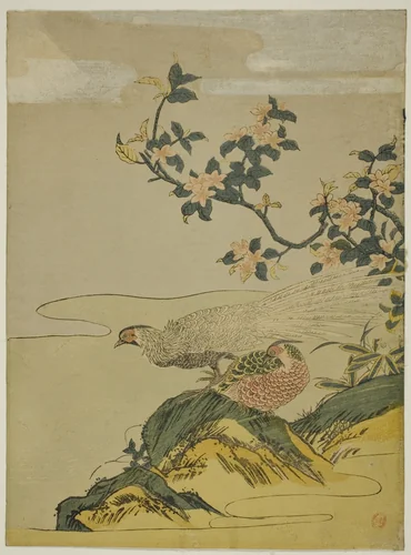 Pheasants under Branch of Peach Blossoms by Isoda Koryusai, print, 1759-1780