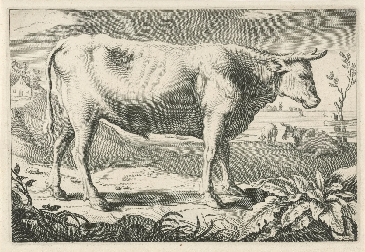 Weiland met een os by Reinier van Persijn, print, 1641
