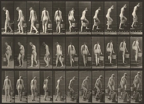 Plate Number 102. Turning and ascending stairs with a bucket of water in right hand by Eadweard Muybridge, photograph, 1887