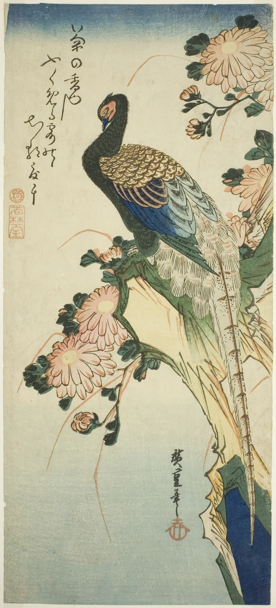 Pheasant and chrysanthemums by Utagawa Hiroshige (歌川広重), print, 1830-1839