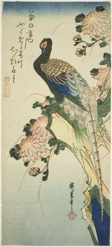 Pheasant and chrysanthemums by Utagawa Hiroshige (歌川広重), print, 1830-1839