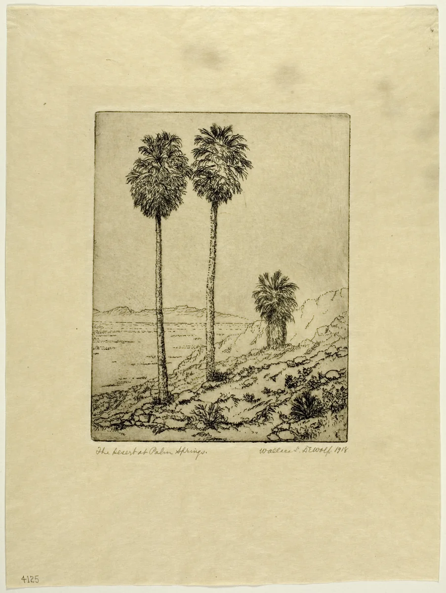 The Desert at Palm Springs by Wallace DeWolf, print, 1918