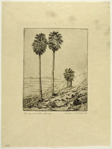 The Desert at Palm Springs by Wallace DeWolf, print, 1918