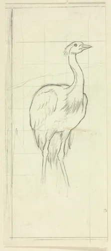 Standing Bird by Henry Stacy Marks, drawing, 1849-1898