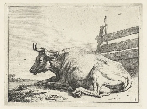 Liggende koe bij een hek by Paulus Potter, print, 1650