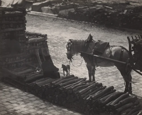 A Snapshot, Paris by Alfred Stieglitz, photograph, 1911