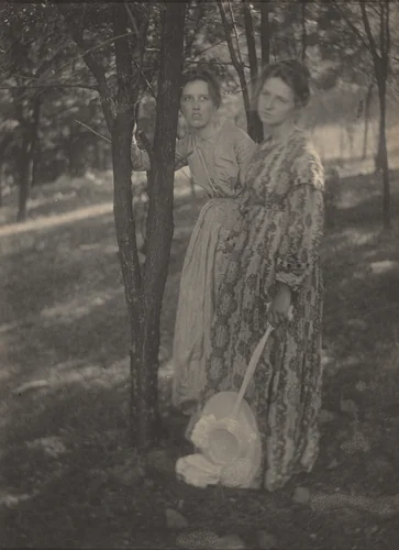In the Woods by T. M. Edmiston, photograph, 1894-1904