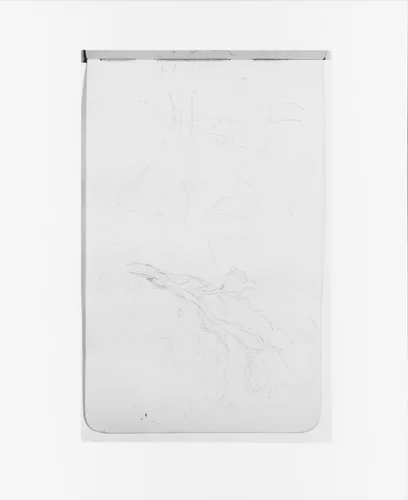 Sketches of Trees (from Sketchbook) by Albert Bierstadt, artwork, 1890