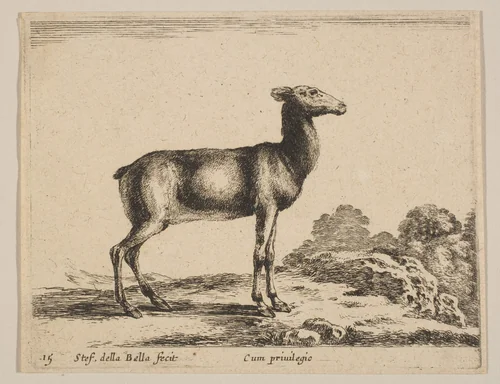 Plate 15: Doe, from "Various animals" (Diversi animali) by Stefano della Bella, print, 1636-1646