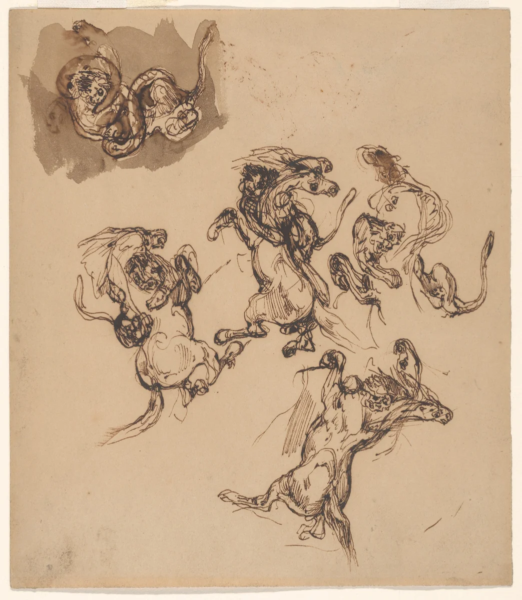 Studies of a Rearing Horse Attacked by a Lion and a Lion Wrestling with a Serpent by Eugène Delacroix, drawing, 1830-1839