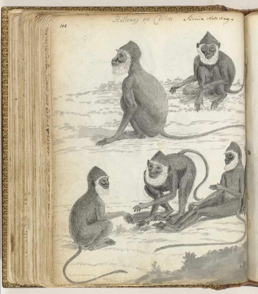 Rolleway op Ceylon by Jan Brandes, drawing, 1785-1786