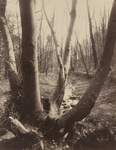 Villeneuve-l'Étang by Eugène Atget, photograph, 1910