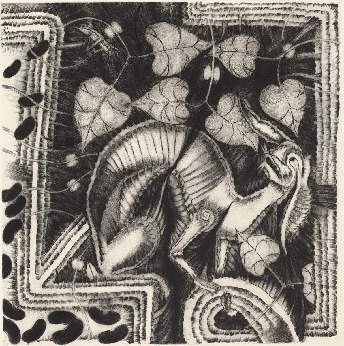 Garden by Graciela Iturbide
Francisco Toledo
Alejandro de Ávila, print, 2002