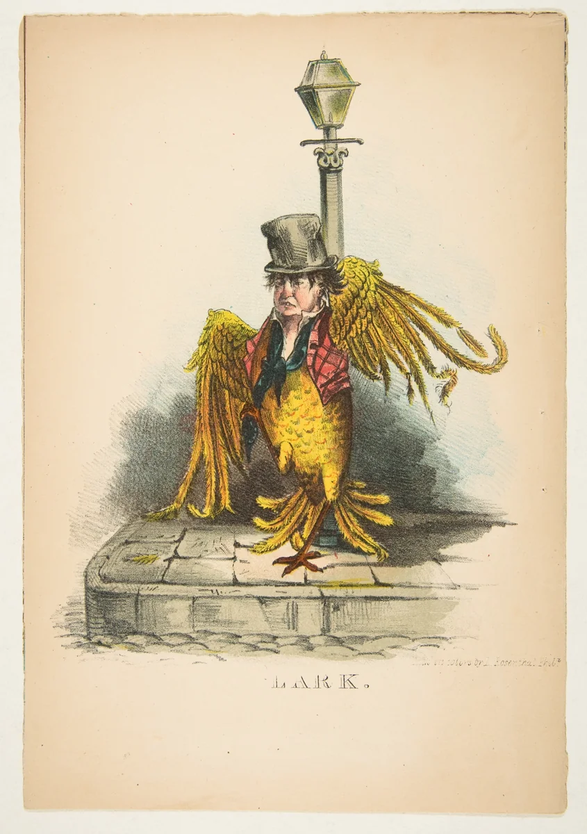 Lark, from "The Comic Natural History of the Human Race" by Henry Louis Stephens, print, 1851