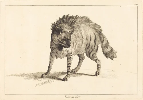 Loucervier (Hyena) by Jean Eric Rehn; Jacques-Philippe Le Bas; Jean-Baptiste Oudry, print, 1707-1783