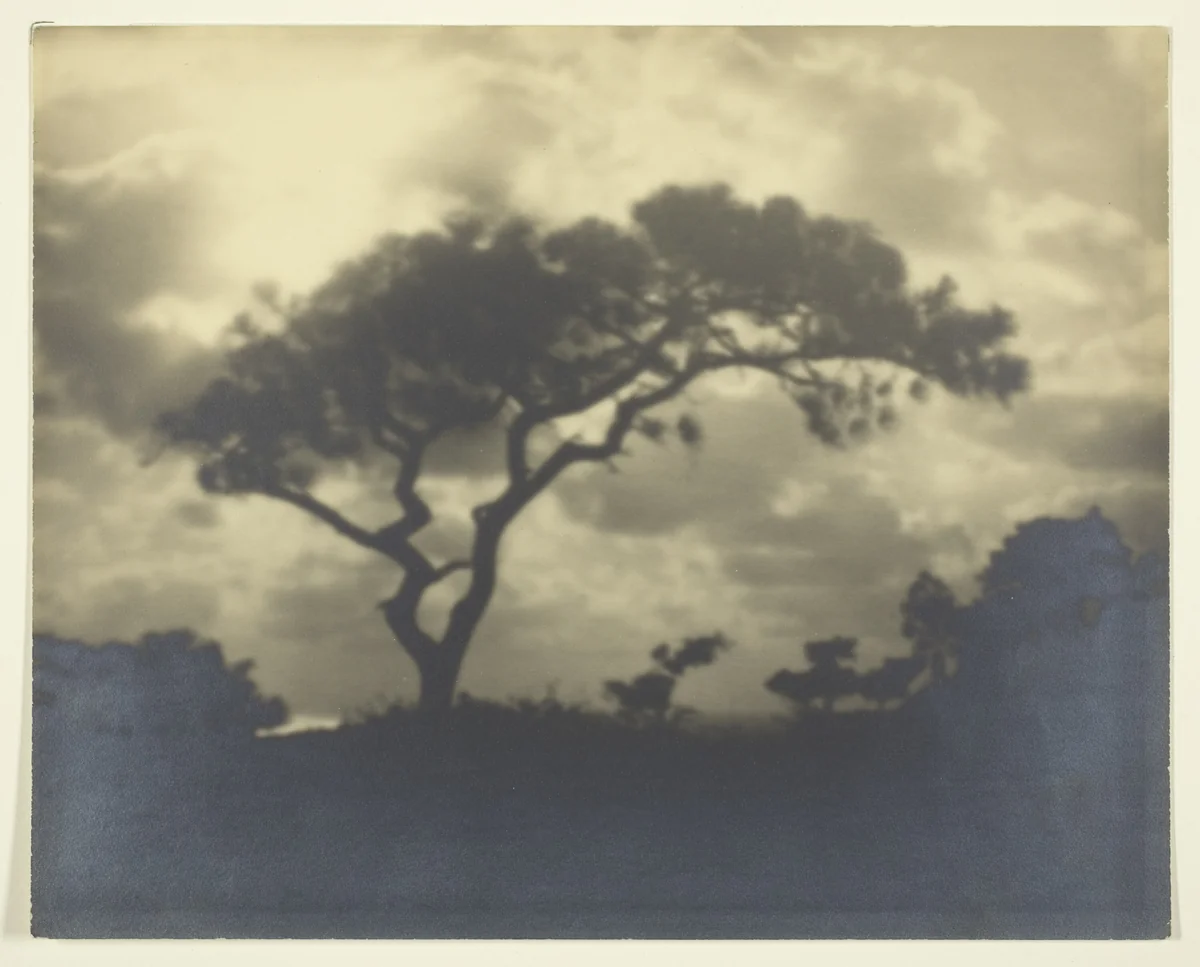 Untitled (Cloudy Landscape with Tree) by Artist Unknown, photograph, 1850-1900
